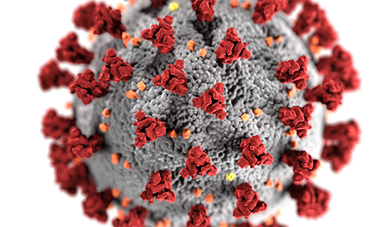 Emergenza epidemiologica da covid-19